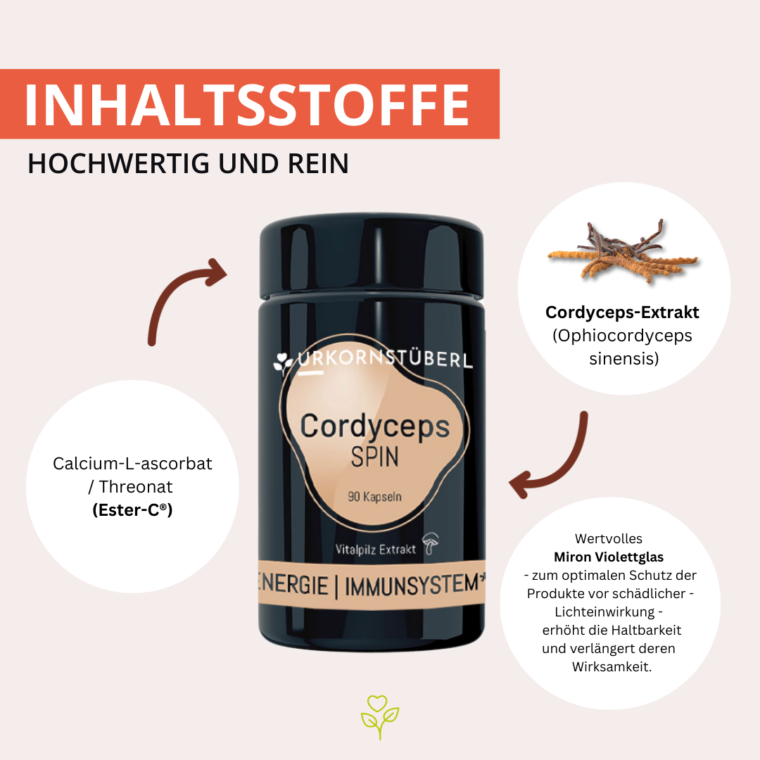 urkornstueberl-cordyceps-vitalpilz-inhaltsstoffe