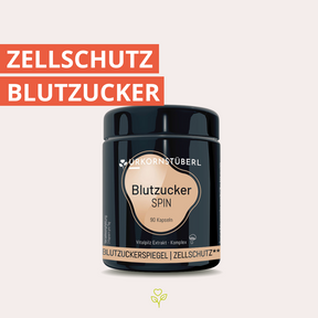 urkornstueberl-vitalpilze-blutzucker-spin